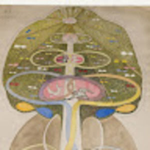 Meet your Posher, Abril